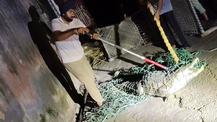 जलस्तर बढ़ने से आबादी में घुसे वन्यजीव, वन विभाग की अपील