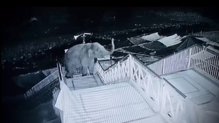 हाथी ने 40 सीढ़ियां चढ़कर गर्जिया मंदिर में मचाया हड़कंप