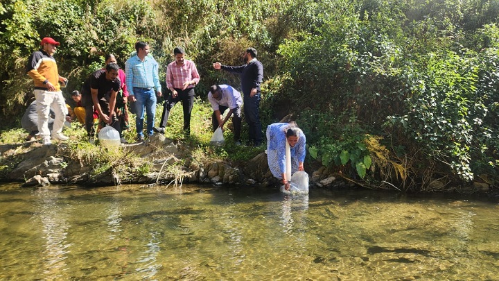 मत्स्य पालन से ग्रामीण अर्थव्यवस्था को मिलेगी नई गति : सीडीओ