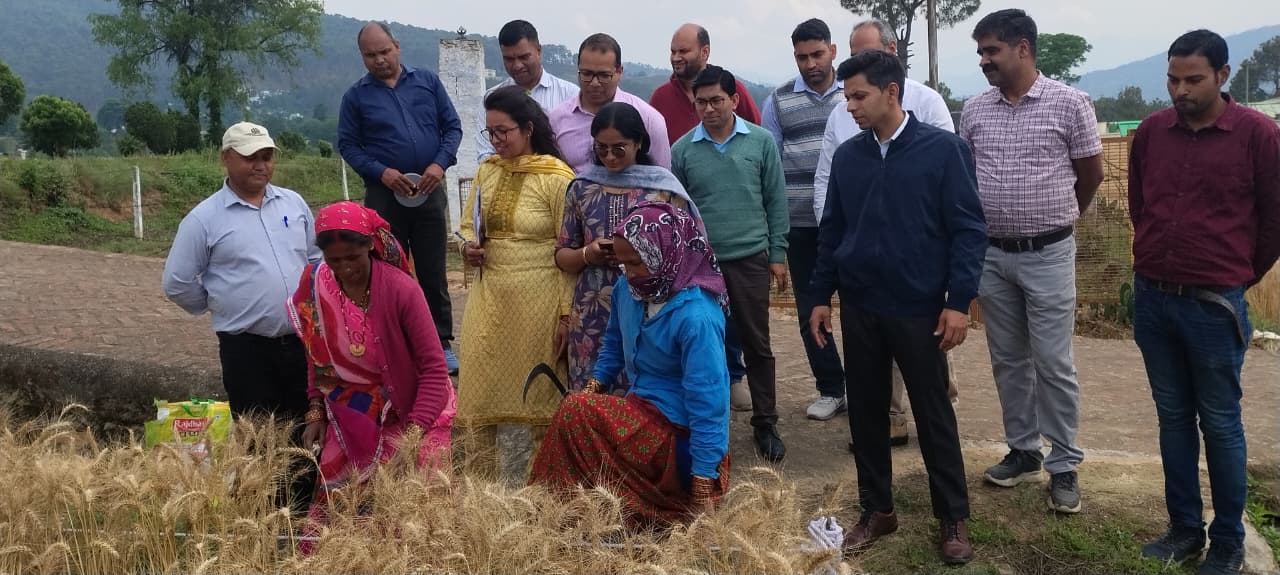 क्रॉप कटिंग के आंकड़ों से तय होती हैं कृषि योजनाएं और फसल बीमा दावे: डीएम